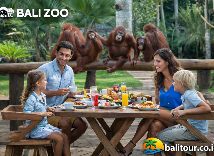 Bali Zoo