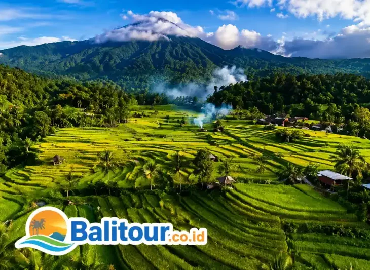 Jatiluwih Rice Terrace