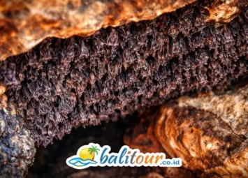 Goa Lawah Temple Bali