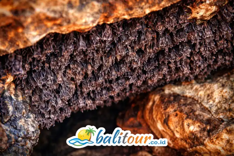 Goa Lawah Temple Bali