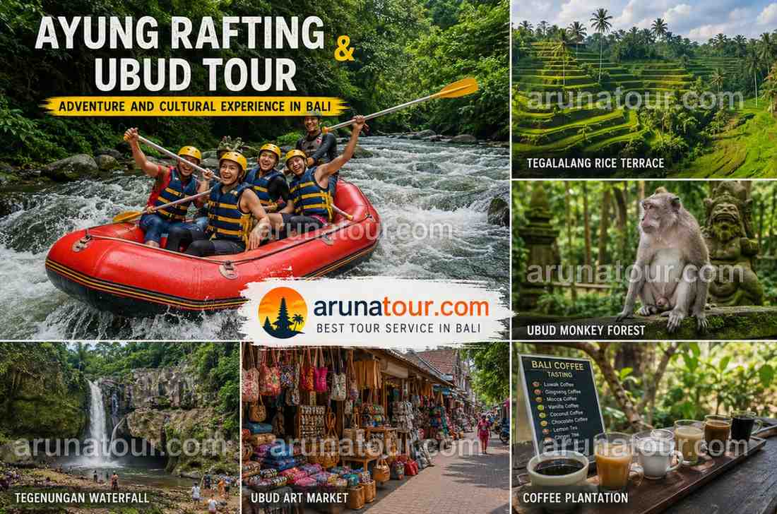 bali rafting dan ubud tour