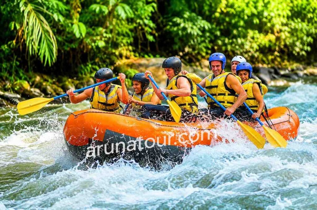 bali tour