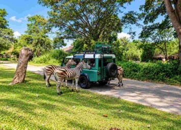 Bali Safari Park