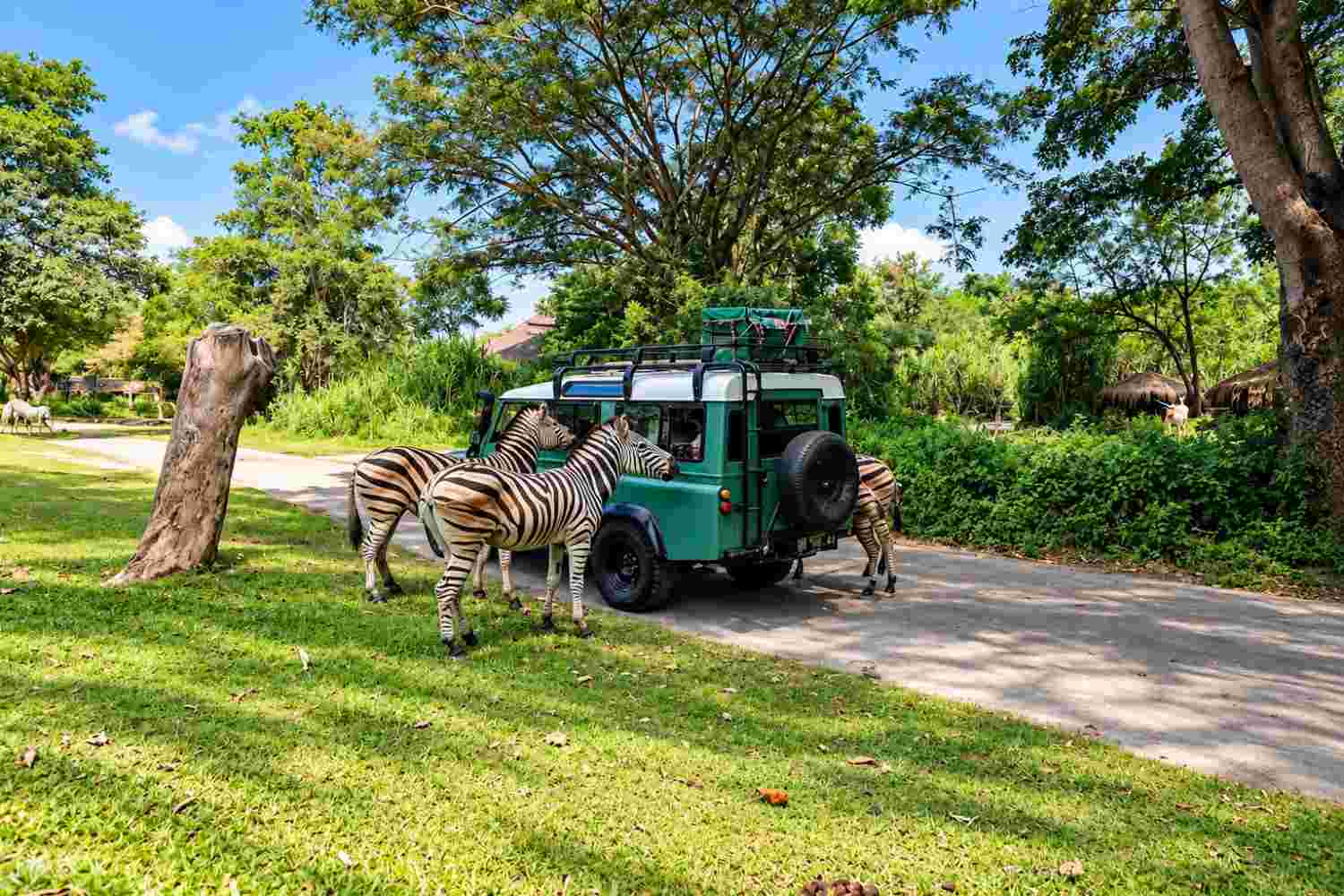 Bali Safari Park